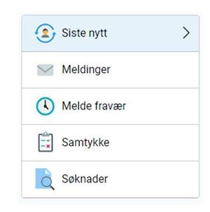 Klikk for stort bilete